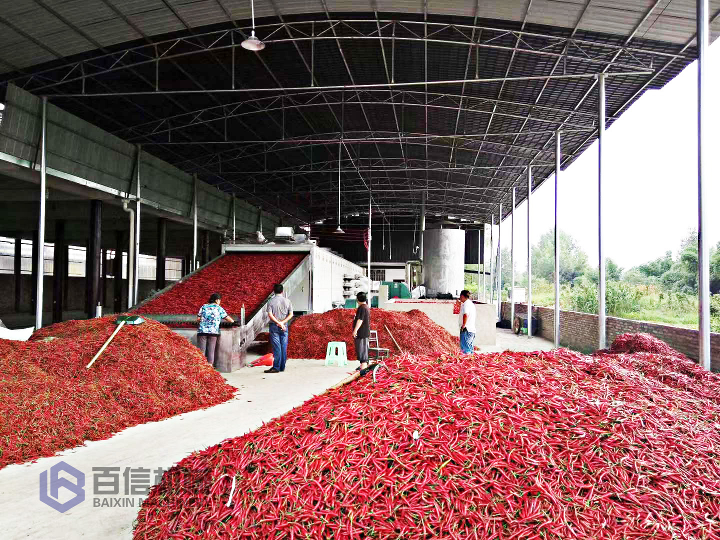 小型辣椒烘干機 小型辣椒烘干機